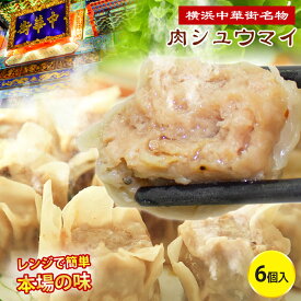 焼売 6個 シューマイ おつまみ 肉焼売 おかず おつまみ 冷凍 贈答 ギフト 食べ物 冷凍 電子レンジ 蒸し器 高級 中華 点心 冷凍発送 人気グルメ 澤園 本場中華料理 お家で手軽くに お弁当 テレワーク 本場の味 レンジで簡単調理 キャンプ 人気 ギフト