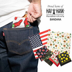 ハバハンク HAV-A-HANK プリントバンダナ 総柄 ｜ アメリカ製 米国製 MADE IN USA バンダナ 迷彩 唐辛子 星条旗 スマイル ベロ サボテン 柄物 スカーフ ハンカチ
