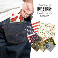 ハバハンク HAV-A-HANK プリントバンダナ 総柄 ｜ アメリカ製 米国製 MADE IN USA バンダナ 迷彩 唐辛子 …