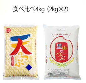 令和5年産 福島県産米「天のつぶ・里山のつぶ」食べくらべ4kg（2kg×2袋） 米 お米 送料無料 食べ比べ 新米