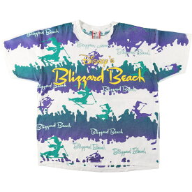 古着 90'S DISNEY DESIGNS BLIZZARD BEACH ブリザードビーチ 総柄 キャラクタープリントTシャツ USA製 メンズXL ヴィンテージ /eaa374585 【中古】 【230927】