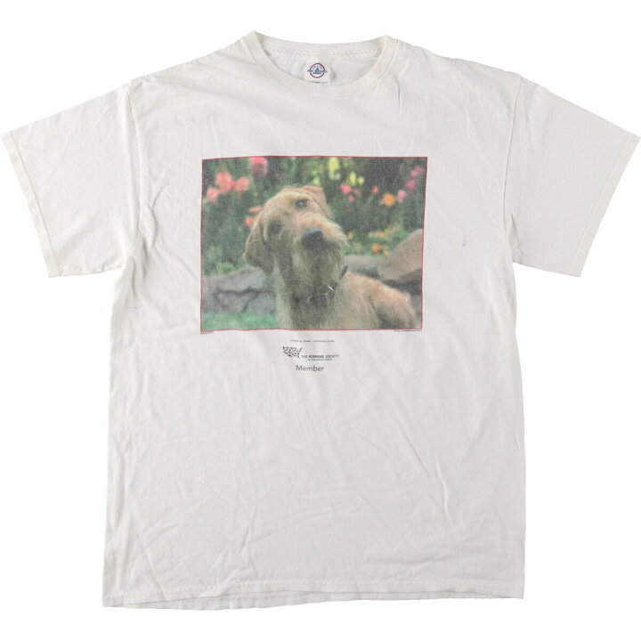 楽天市場】古着 DELTA 犬柄 アニマルTシャツ メンズL /eaa432036  