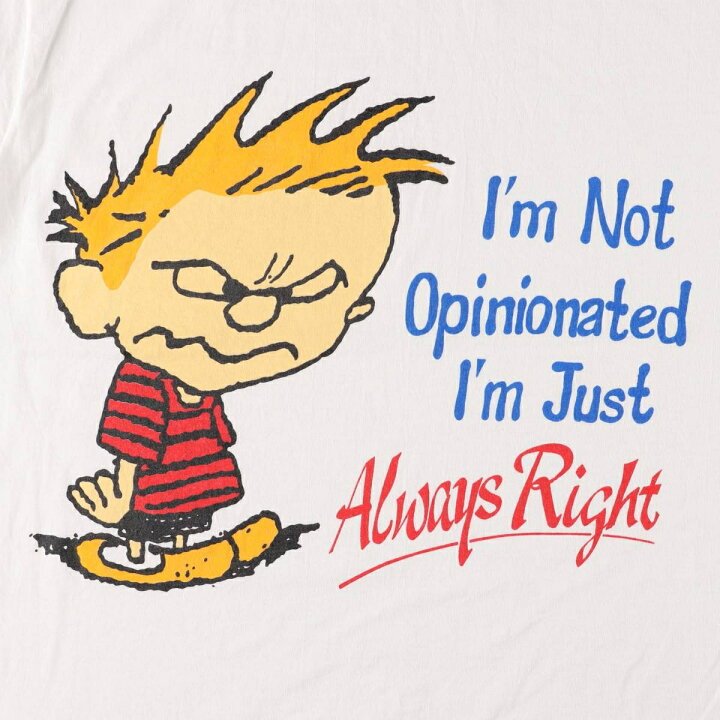 楽天市場】古着 Calvin and Hobbes カルビンとホッブス キャラクター  