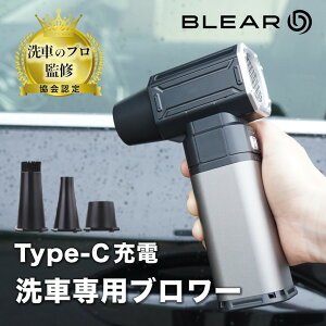 [ Ԃ̃vďC ] BLEAR ( uA )  u[ d GA_X^[ USB TYPE-C [d R[hX ^ y RpNg GA[ ŋ  É ԓ | t Lv 3mY 4i