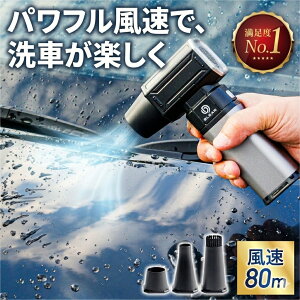 [ ��Ԃ̃v���ďC �z BLEAR ( �u���A ) ��� �u�����[ �d�� �G�A�_�X�^�[ �É� USB Type-C �[�d�� �R�[�h���X ���^ �y�� �R���p�N�g �G�A�[ �ŋ� ���� �ԓ� ���| �����t ���H ��΂� 3��m�Y�� 16000mAh 