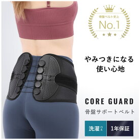 骨盤ベルト 腰サポーター 腰 コルセット 骨盤サポート 腰ベルト 健康グッズ ベルト 骨盤 サポーター サポートベルト 骨盤補正 矯正 産後 ゆがみ 腰痛 姿勢 猫背 腰楽 実用的 スポーツ トレーニング 男女兼用 [送料無料]