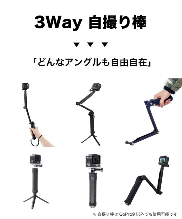 楽天市場】[ SPセール限定P3倍 ] GoPro HERO12 HERO11 HERO10 HERO9 