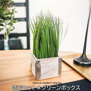  O[[t fR[V tFCN O[ ][gCeA  AWA o C  fBXvC IV  [  CeA o nC Jt