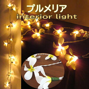 Ǌ|Ɩ vA t[   Cg ][g CeAv AWA o nC tBW[ t[v Ɩ Ǌ| EH[v ԃv rOp Xܗp 