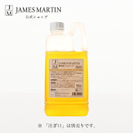 ジェームズマーティン 医薬部外品 薬用泡ハンドソープ 詰め替え用 2kg（注ぎ口別売り）
