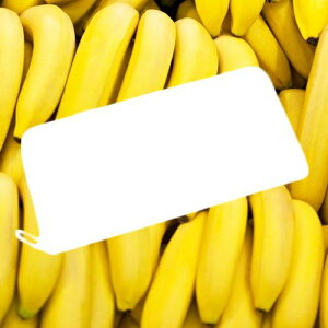 JAM HOME MADE �W�����z�[�����C�h �C�G���[�C���T�C�h�t�@�X�i�[�����O�E�H���b�g �����z ���v �� �\ �o�i�i ���b�L�[�J���[ �C�G���[ �S�[���h ���N ���^ �����Y ���f�B�[�X ���j�Z�b�N�X ��