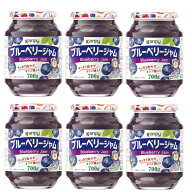 ケース販売　送料無料カンピー ブルーベリージャム 700g×6北海道・沖縄へは送料が発生いたします