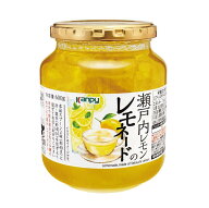 【大人気】瀬戸内レモンのレモネード600g