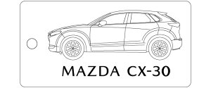 ԎʃL[z_[(CX-30^Cv)
