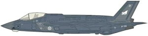 HOBBY MASTER 1/72 F-35A ���C�g�j���O II �t�B�������h��R �z��h�� �����i�y���ꌧ�֔����s�ł��z