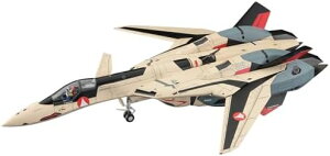 nZK(Hasegawa) }NXvX YF-19 w/t@XgpbN 1/48XP[ vf 65888 (s@)