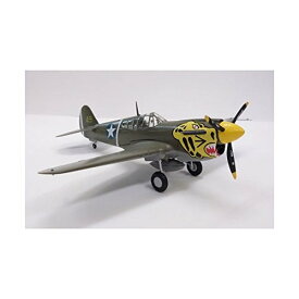 童友社 1/72 アメリカ軍 カーチスP-40E ウォーホーク 塗装済み完成品 No.10【沖縄県へ発送不可です】