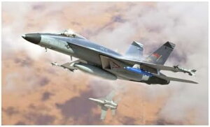 zr[{X 1/48 t@CeBOB[NV[Y F/A-18E X[p[z[lbgVFC-12 vf 85818 (s@)yꌧ֔słz