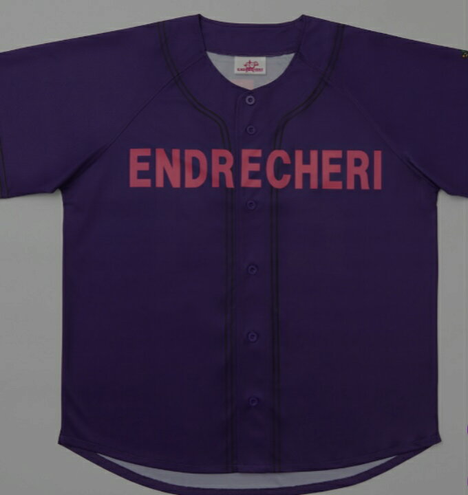 新品】ENDRECHERIエンドリケリーベースボールシャツ堂本剛