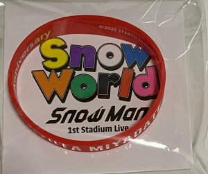 �y�V�i�z�@2025 SnowMan �X�m�[�}���@�y���o�[�o���h�z�{�ڗ����@�@Snow Man 1st Stadium Live Snow World �����@�R���T�[�g���̔��O�b�Y�@���X�g�o���h