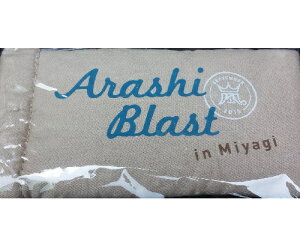 �� ARASHI �uBLAST in Miyagi �{��v �R���T�[�g 2015 �����O�b�Y�@���K�l�P�[�X�E �� ��s�����O�b�Y�E