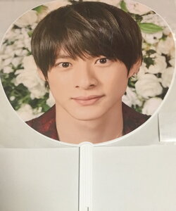 yViz King&Prince (Lv)EyzE쎇sE King & Prince CONCERT TOUR 2019EERT[g̔