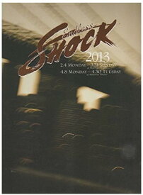 【中古】 堂本光一 ・2013 舞台 パンフレット ・「Endless SHOCK」