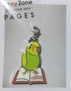 yVizTimelesz @SEXY ZONE (ZN])Ey@`[zEÉE LIVE TOUR 2019 PAGES.EERT[g̔ObY@(sexyzoneRT[gObY@ZN]RT[gObY) @[