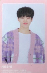 �y�V�i�zSEVENTEEN 2019 �E�y���������J�[�h�z�EHOSHI (�z�V)�E�ESEVENTEEN 2019 JAPAN TOUR 'HARU'. SEVENTEEN �Z�u���e�B�[���E�ŐV�R���T�[�g���̔��E�E