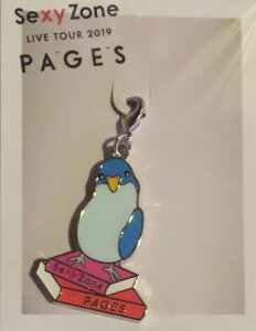 yVizTimelesz @SEXY ZONE (ZN])y@`[zEE LIVE TOUR 2019 PAGES.EERT[g̔ObY@(sexyzoneRT[gObY@ZN]RT[gObY)@l@