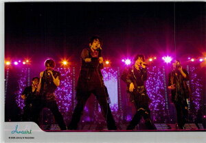 @@ iARASHI)E yʐ^zEWE 2008@Wj[Y@Web@