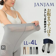 タイツ 大きいサイズ レディース 50デニール相当 ストレッチ レッグウェア インナー LL-4L ゆったりサイ…