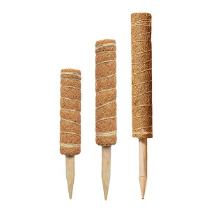 x Ax A RRibcx 3{ 30cm 40cm 50cm 鐫 |pi Ribcp[XeBbN K[fjOx ϗtA