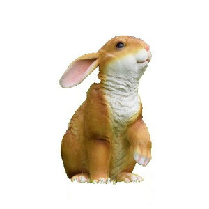 ETM̒u K[f IuWF tBMA K[f@x_A[g CeA 