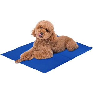 ybgЂ}bg XSTCY  L  N[}bg ybg ЂV[g p}bg MǑ΍ ⊴ WF }bg ėp ЂЂ ΍ ₦}bg N[xbh h hJr 