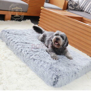 Lpxbh ybgxbh  L ybgpi lR xbh  ybgnEX Lxbh pxbh }bg NbV h   ۉ h lG