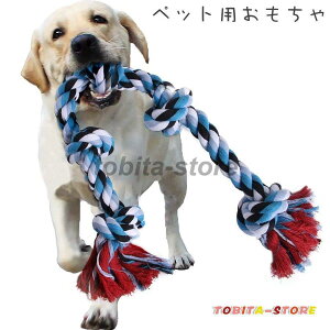 ybgp ނ [v p  gC XgX ̌N  V ^ ^ hbO ybgpi ybgOb