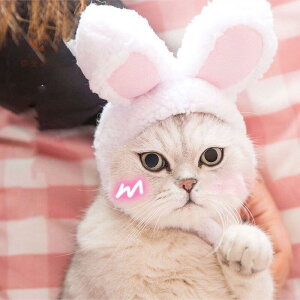 LXq LRXv ɑϐg wAoh ybgpXq ˂̂Ԃ t EȒP }WbNe[vt  U s ʐ^