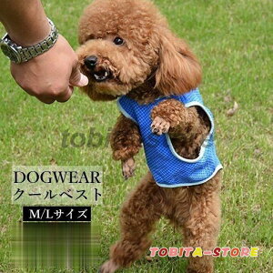 hbOEFA  xXg ybgp p p pxXg ėp N[ ̉ ₽  ėp n PF Vv U o