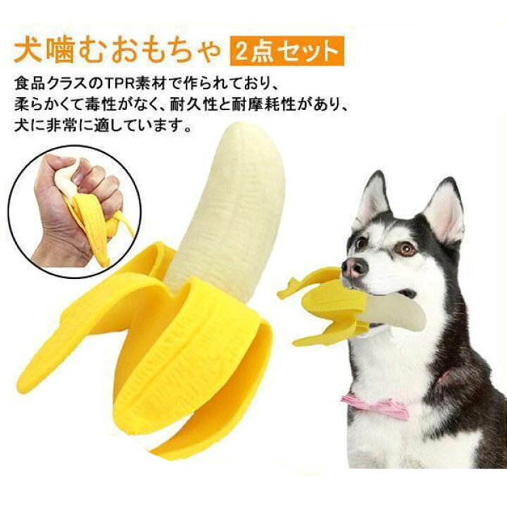 楽天市場】犬噛むおもちゃ ペット用 犬用おもちゃ 2点セット 壊れない 