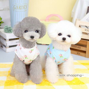  t  H ~  킢 ̕  m  q ^ ^  gCv[h ` ~j`A