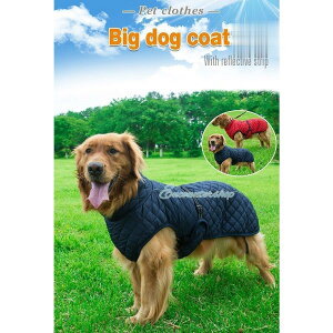 -^pxXg _ExXg pAE^[ ybg R[g hbOEFA  H~ ˃e[vt WbvAbv h  