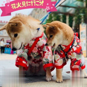  L ybg  a ybgEFA a  Lm     ^