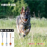 犬 おもちゃ ペット 犬用 玩具 おもちゃ 綱引き ロープ ヒモ ボール 噛み 投げ 訓練 水に浮く 噛む