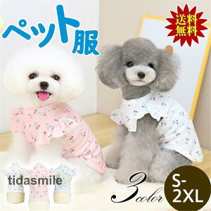     ėp t N[ bV s[X tt  hX ^Ngbv ^ 킢  L~ gCv[h