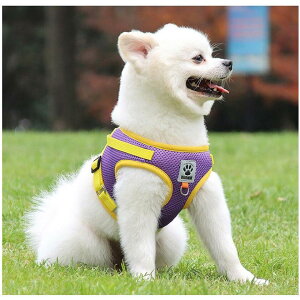  n[lX [ht ybg EFAn[lX  Lbg hbO bV ̌^ Ď y ߉\ p ^ ybgpi Lp L/ 