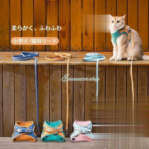 n[lX L Lp [h EFAn[lX  ˂ }WbNe[v ybg [ht Lbg 