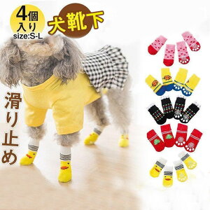 p\bNX  \bNX 4 C h ~ g p pC \bNXV[Y  h ^ ^