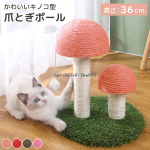 L ܂Ƃ |[ Lbg^[  킢 Lbgc[ ̂ ~j x  ^ gݗĐu ȃXy[X