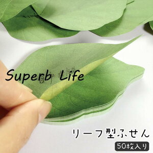 t ӂ  50 [t t O[  킢 [ pi Xe[Vi[ G j[N  A